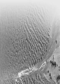 <strong>Why do the sand dunes in the west vary from those in the east in the figure below? </strong> A) The average size of the sand clasts differs in the two areas. B) There is slightly more rain to the east. C) The material to the east is closer to an igneous-rock source area, from which the dune sediment is significantly derived. D) The winds are predominantly in one direction in the west but blow more complexly in the east.