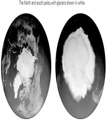 <strong>The figure below shows the North Pole/Arctic (left)and South Pole/Antarctica (right).Which of the following is probably NOT a difference between the two? </strong> A) the proportion of dropstones in recent ocean sediments B) the abundance of icebergs C) the relative climatological isolation of each from nearby unglaciated landmasses D) the effects of sea ice versus open water, on the reflection of solar radiation (sunlight)