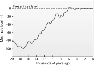 <strong>Approximately how much has sea level risen since the last ice age ended,approximately 11,000 years ago? </strong> A) 3-4 m B) 10-20 m C) 35-40 m D) 110-120 m