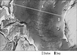 <strong>According to the image below,where is new oceanic crust being formed? </strong> A)A B)B C)C D)D