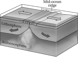 <strong>Which basic type of plate boundary is shown in the image below? </strong> A)divergent B)convergent C)transvergent D)transform
