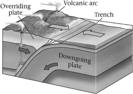 <strong>Which basic type of plate boundary is shown in the image below? </strong> A)divergent B)convergent C)transvergent D)transform