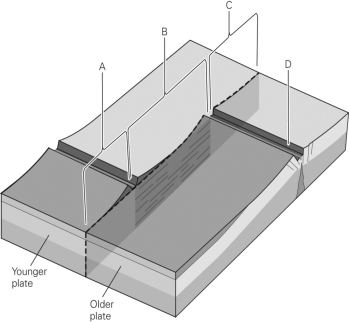 <strong>The image below shows a view of a typical segmented mid-ocean ridge.Which letter below marks the location of the active transform fault? </strong> A)A B)B C)C D)D