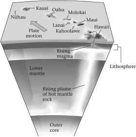 <strong>Consult the figure below.Hawaii is an example of ________. </strong> A)hot-spot volcanism B)mid-ocean-ridge volcanism C)a volcanic island arc formed by subduction D)transform margin
