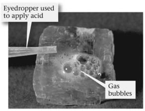 <strong>The image below shows a mineral with hydrochloric acid applied to it.What mineral is this? </strong> A)quartz B)halite C)calcite D)fluorite