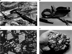 <strong>Which of the following images shows a hand specimen? </strong> A)A B)B C)C D)D