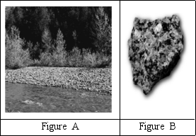 Which of the images below shows a rock? Explain your reasoning.