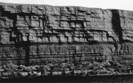 <strong>The following is a picture of what type of phenomenon? </strong> A)jointing B)differential weathering C)chemical weathering D)hydration