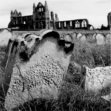 <strong>What type of weathering is shown in the following picture? </strong> A)salt wedging B)frost wedging C)oxidation D)hydration