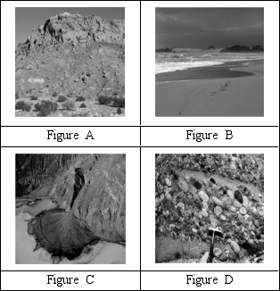 <strong>Which of the following images does NOT contain sediment? </strong> A)Figure A B)Figure B C)Figure C D)Figure D