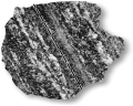 <strong>The image below shows ________. </strong> A)foliation B)migmatites C)pressure solution D)metasomatism