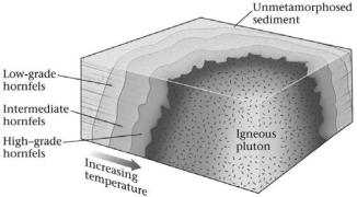 <strong>Consult the figure below.The region of thermally metamorphosed rock surrounding a cooled pluton is called a(n)________. </strong> A)shear zone B)aureole C)chilled margin D)metamorphic ring