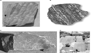 <strong>Which of the following images is of a foliated metamorphic rock? </strong> A)A B)B C)C D)D