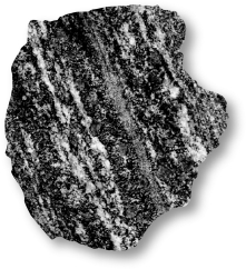 Draw the orientation of the preferential stress that created the foliation in the image below.