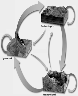<strong>What is the name of the cycle shown in the picture? </strong> A)hydrologic cycle B)erosion cycle C)rock cycle D)carbon cycle