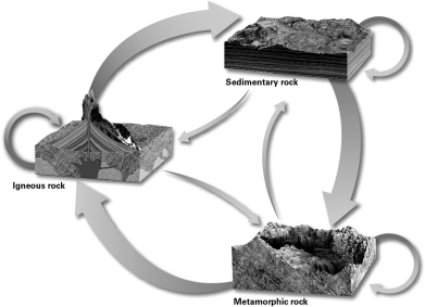 Label the image below with the processes that occur along pathways in the rock cycle.Make sure that you label every arrow with the correct process.