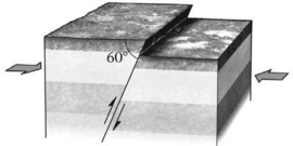 <strong>During an earthquake,if the hanging wall slides upward relative to the footwall,the fault is termed a ________ fault if the fault is steep (closer to vertical than horizontal).Refer to the figure below for an example of such a feature. </strong> A)normal B)reverse C)strike-slip D)thrust