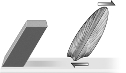 <strong>The fossil in the image below has been subjected to what type of stress? </strong> A)brittle B)tensional C)shear D)compressional