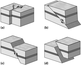 <strong>Which fault below could result from both strike-slip and dip-slip stresses? </strong> A)A B)B C)C D)D