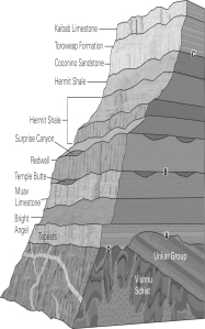 <strong>In the image of the Grand Canyon below,identify the nonconformity. </strong> A)A B)B C)C D)D