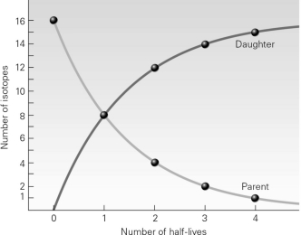 <strong>According to the image below,after one half-life has passed,what is the ratio of parent isotopes to daughter isotopes? </strong> A)16:0 B)8:8 C)4:12 D)2:16