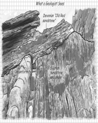 Describe the plausible geologic history of the rocks in the diagram below.