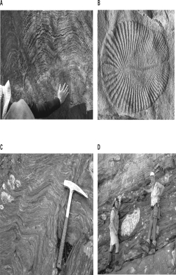 Which of the following images contains evidence of the earliest life to form on Earth?