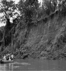 <strong>The image below shows a cut bank along a river that was formed by a ________. </strong> A)lahar B)rock fall C)slump D)debris slide