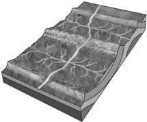 <strong>The figure below shows an example of a ________ drainage network. </strong> A)dendritic B)radial C)rectangular D)trellis