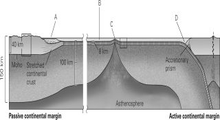 <strong>Using the figure below,which of the following lists correctly identifies the various seafloor landforms? </strong> A)A = continental shelf,B = abyssal plain,C = mid-ocean ridge,D = trench B)A = abyssal plain,B = continental shelf,C = mid-ocean ridge,D = trench C)A = continental slope,B = mid-ocean ridge,C = trench,D = volcanic arc D)A = continental shelf,B = abyssal plain,C = trench,D = mid-ocean ridge