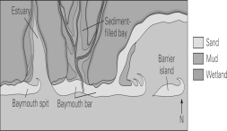 <strong>According to this map,where are you most likely to find upwelling currents? </strong> A)the North Pole B)the equator C)the tropics D)the South Pole