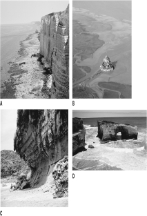 <strong>Which of the following figures shows a coast experiencing high tide? </strong> A)A B)B C)C D)D