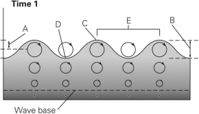 <strong>In the figure below,which letters represent the crest and trough? </strong> A)A and B B)E and D C)C and D D)C and B