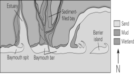 <strong>In the figure below,which direction is the longshore drift? </strong> A)south B)east C)west D)It is not possible to tell.