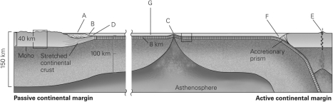 Label the landforms of ocean basins shown in the image below using the following word bank (note: not all of the words will be used):