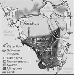 <strong>Consult the figure below.What will eventually happen to the Everglades if the people of Miami and Fort Myers do not stop using the water? </strong> A)It will shift toward Lake Okeechobee. B)It will eventually dry up and disappear. C)It will shift to be closer to Fort Myers. D)It will be replenished by recharge.