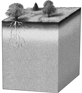 Label the three zones that water moves through as it percolates into Earth on the image below.Also include where the water table is by marking it with an arrow.