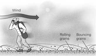 <strong>In the figure below,the sand grains are being transported by ________. </strong> A)suspension B)saltation C)surface creep D)deflation