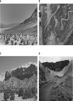 <strong>Which of the following images is the result of chemical erosion? </strong> A)A B)B C)C D)D