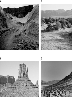 Which of the following images is the result of sediment deposited at the mouth of a canyon?