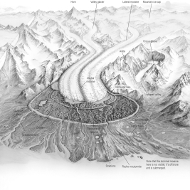 <strong>The central glacier in the figure below once stretched all the way to the farthest ground moraine.What type of glacier was it? </strong> A)a continental glacier B)a cirque glacier C)a piedmont glacier D)an ice cap