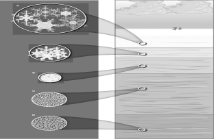 <strong>Which of the following images shows the oldest snow? </strong> A)A B)B C)C D)D