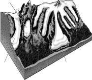 Label the glaciers in the image below using words from the word bank included (hint: not all the names will be used). \begin{array}{c} \begin{array}{lll} \text {Pledmont glacier}\\ \text {Continental glacier}\\ \text {Tidewater glacier}\\ \end{array} \begin{array}{lll} \\ \text {Valley glacier}\\ \text {Hanging glacier} \end{array} \begin{array}{lll} \text {Cirque glacier}\\ \text {Ice apron}\\ \text {Mountain ice cap} \end{array} \end{array}