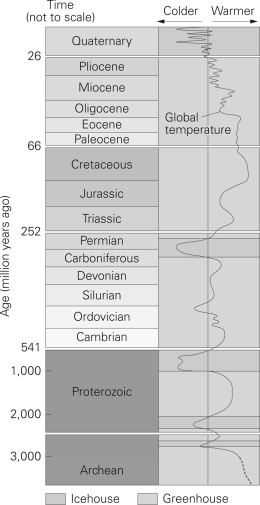 <strong>Using the graph below,when was the first period of global cooling? </strong> A)Quaternary B)Archean C)Proterozoic D)Jurassic