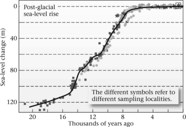 <strong>According to the figure below,approximately how much has the sea level risen since the last ice age ended,approximately 16,000 years ago? </strong> A)110 m B)60 m C)20 m D)15 m