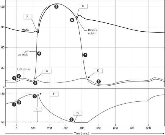 <strong> Figure 18- 2 Cardiac Cycle Use Figure 18- 2 to answer the following questions: What volume is labeled G on the graph?</strong> A) stroke volume B) end- diastolic volume C) cardiac output D) end- systolic volume E) both B and D