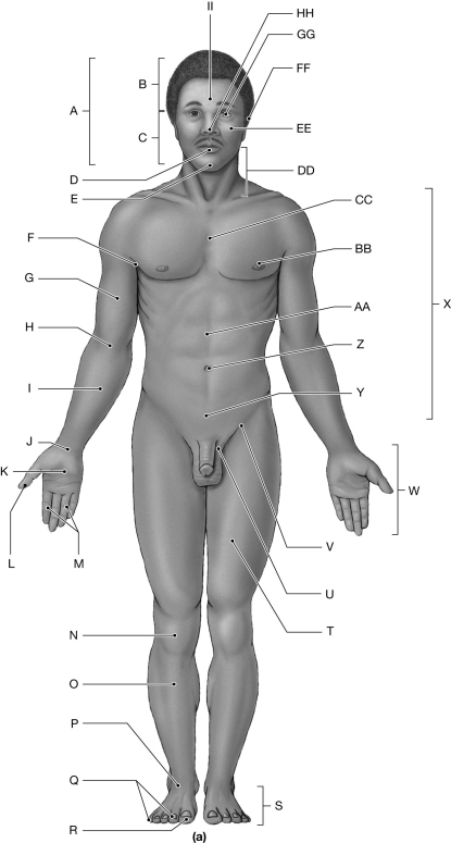Figure 1.2 Using the figure above, identify the labeled part. -Label X: ______________________________