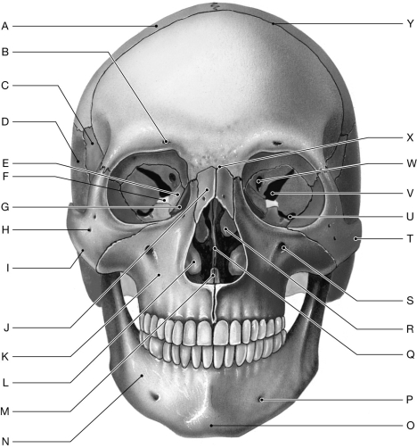 Figure 6.2     Using the figure above, identify the labeled items. -Label L: ______________________________
