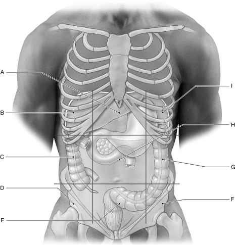 Figure 25.5 Using the figure above, identify the labeled part. -Label D: ______________________________