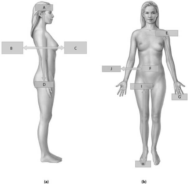 Figure 1.4 Using the figure above, answer the following questions. -What is the directional term for Label H?